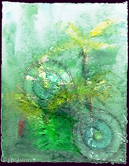 fetos arbóreos, sintra-achtdiagofrei, 07